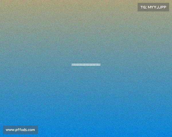 法甲团队分析:各队的阵容调整及其未来走势